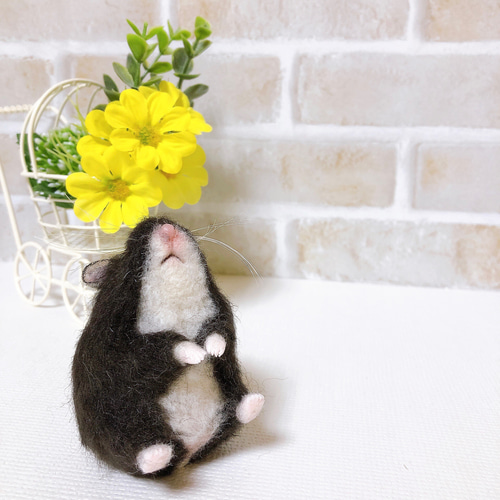 ブラック キャンベル*ハムスター* (羊毛フェルト) 羊毛フェルト