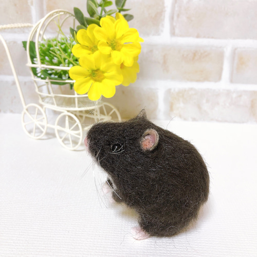 ブラック キャンベル*ハムスター* (羊毛フェルト) 羊毛フェルト