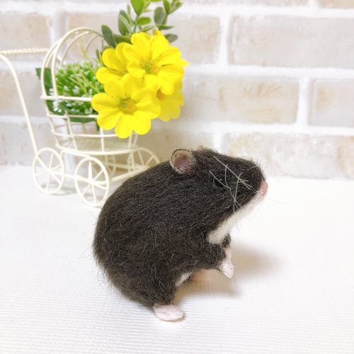 ブラック キャンベル*ハムスター* (羊毛フェルト) 羊毛フェルト