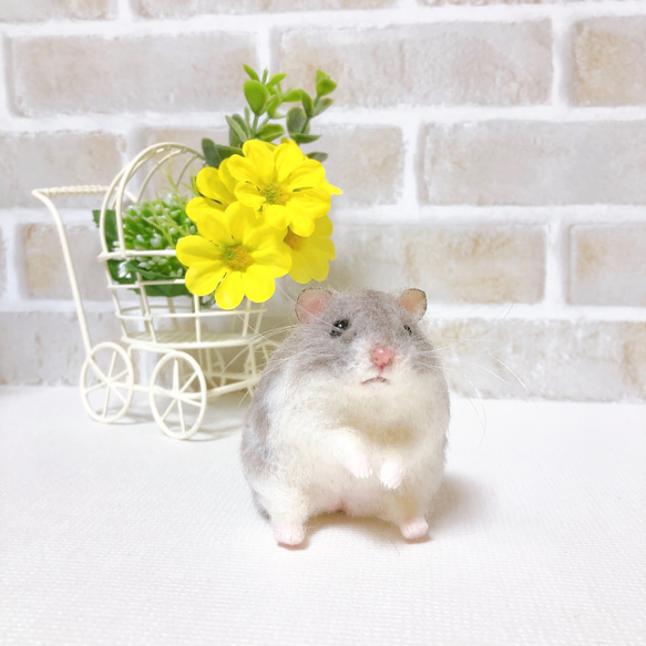 ①ジャンガリアン＆バナナ◇羊毛フェルト 種をいっぱいモグモグ！ハムスター【ジャンガリアン】 羊毛