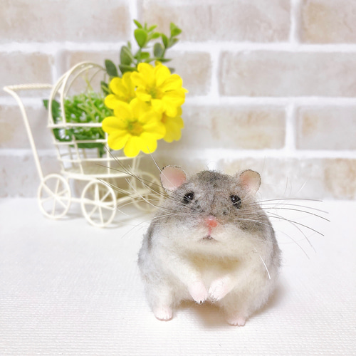 ①ノーマル ジャンガリアン*ハムスター* (羊毛フェルト) 羊毛 ①ノーマル ジャンガリアン*ハムスター* (羊毛フェルト) 羊毛