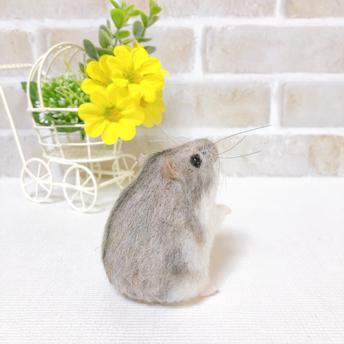見上げる③ノーマル ジャンガリアン*ハムスター* (羊毛フェルト