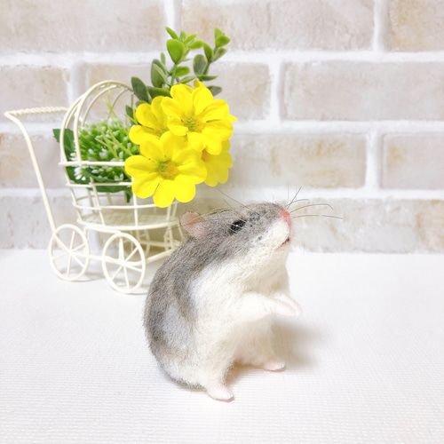 見上げる③ノーマル ジャンガリアン*ハムスター* (羊毛フェルト) 羊毛