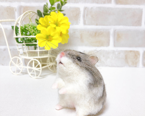 828e7040337046d4e3eccaac5184fa