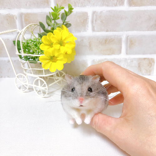 365 ジャンガリアン ノーマル◇羊毛フェルト 365 ジャンガリアン ノーマル◇羊毛フェルト - メルカリ