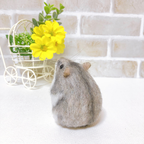 365 ジャンガリアン ノーマル◇羊毛フェルト NEW】ノーマルカラー *お座りジャンガリアンハムスター* 羊毛