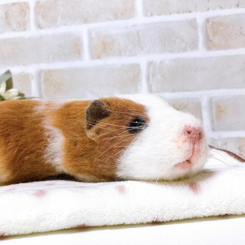 23cm*モルモット*リアルサイズ ☆なで待ちモルワッサン (羊毛フェルト