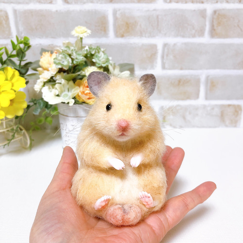ハムタマ座布団のお座りキンクマちゃん*ゴールデンハムスター