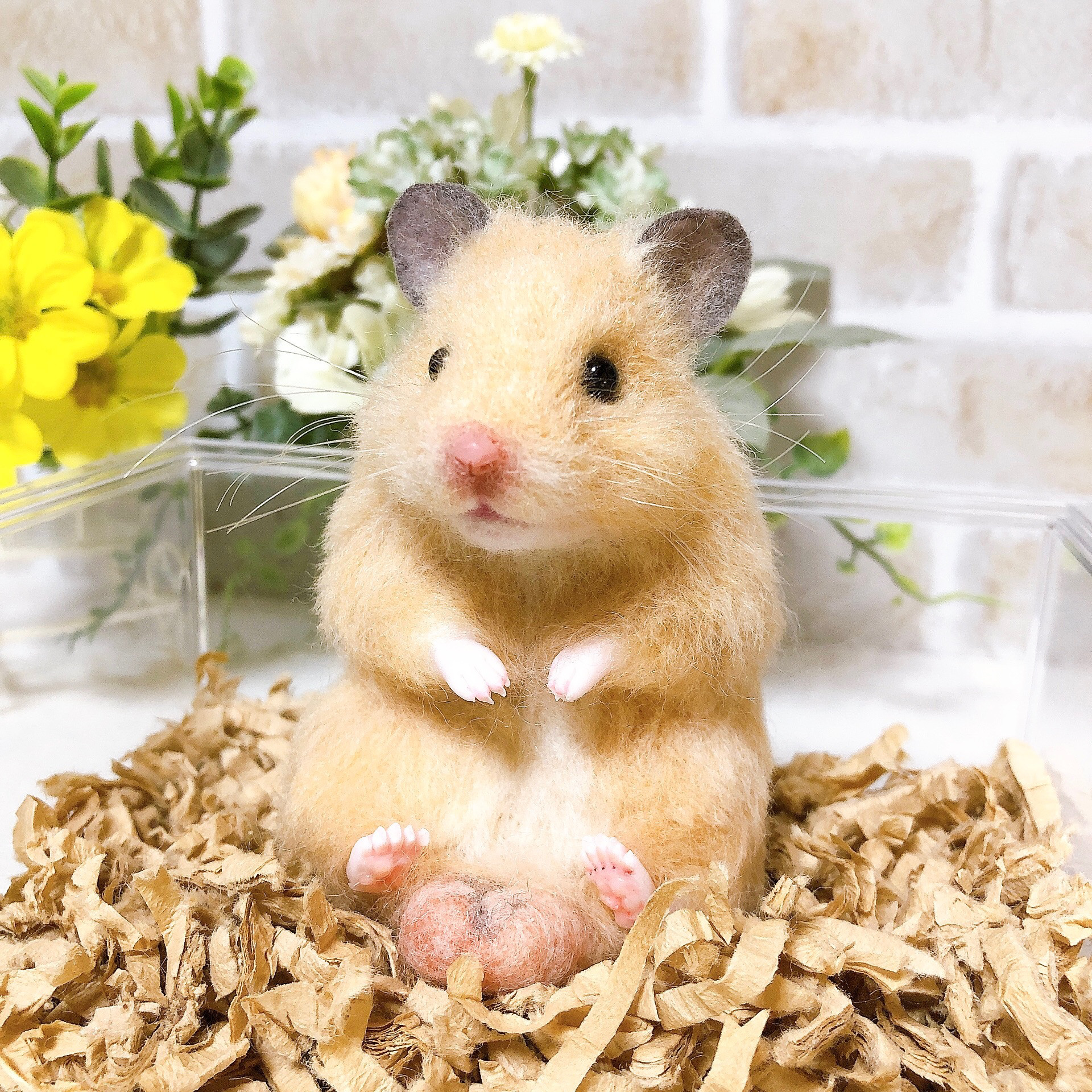 どっしりお座りキンクマハムスター◇羊毛フェルト はむタマ座布団♪お座りキンクマハムスター *羊毛フェルト* 羊毛