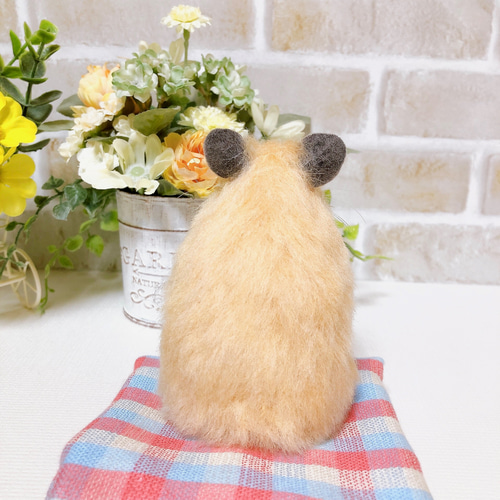 はむタマ座布団♪お座りキンクマハムスター *羊毛フェルト* 羊毛