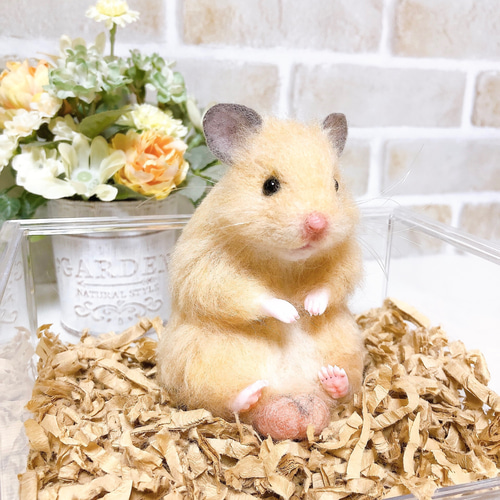 ハムタマ座布団のお座りキンクマちゃん*ゴールデンハムスター* (羊毛