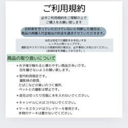 ＊カラフル＊おうちスタジオ レンタル セット 誕生日 ハーフバースデー アーティシャルフラワー 8枚目の画像