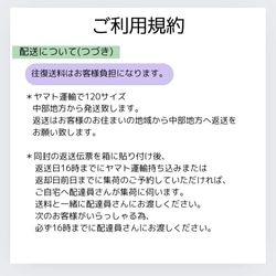 ＊カラフル＊おうちスタジオ レンタル セット 誕生日 ハーフバースデー アーティシャルフラワー 12枚目の画像