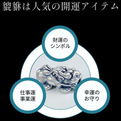 成功者のブレスレット 2枚目の画像