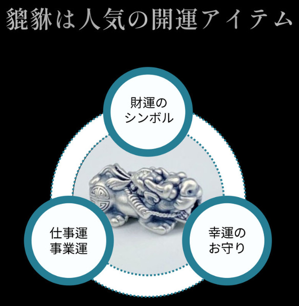成功者のブレスレット 2枚目の画像