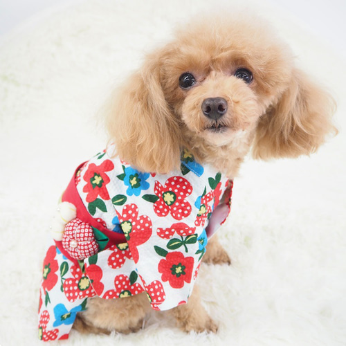 ハンドメイド 和柄 犬服　犬 着物　浴衣　和服　お祭り　夏 楽天市場】お祭りに着ていきたくなる！ペット服 浴衣 着物 華やか