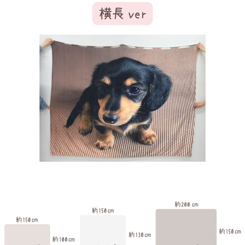 ペット ブランケット オーダーメイド 毛布 オリジナル メモリアル