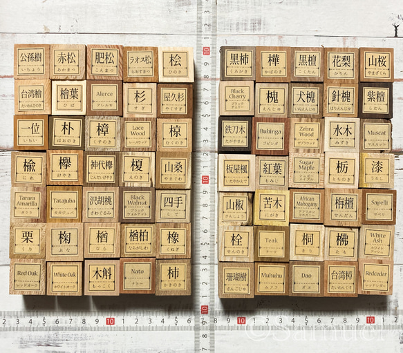 ▦70種＋10種『世界の木樹の標本／cube（に）：世界中の木材になる木たち』世界の樹の標本TreeSpecimen ▦□──── Wood Black Red White