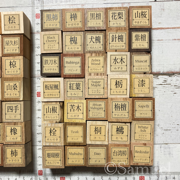 ▦70種＋10種『世界の木樹の標本／cube（に）：世界中の木材になる木たち』世界の樹の標本TreeSpecimen ▦□──── Wood Black Red White
