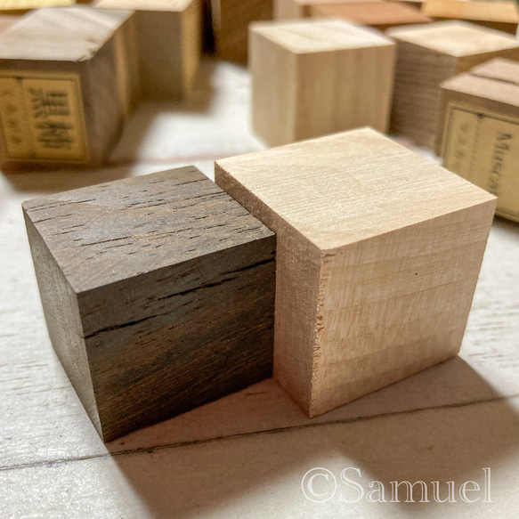 ▦70種＋10種『世界の木樹の標本／cube（に）：世界中の木材になる木たち』世界の樹の標本TreeSpecimen ▦□──── Wood Black Red White