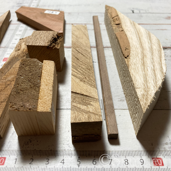 ▦70種＋10種『世界の木樹の標本／cube（に）：世界中の木材になる木たち』世界の樹の標本TreeSpecimen ▦□──── Wood Black Red White