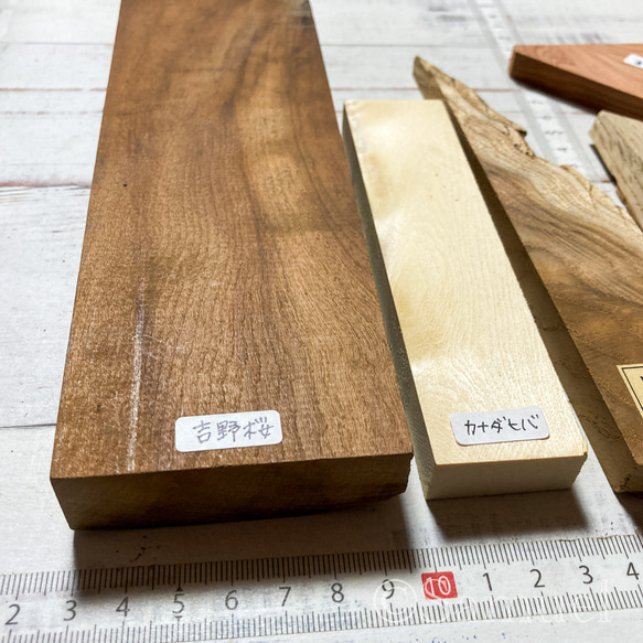 ▦70種＋10種『世界の木樹の標本／cube（に）：世界中の木材になる木たち』世界の樹の標本TreeSpecimen ▦□──── Wood Black Red White