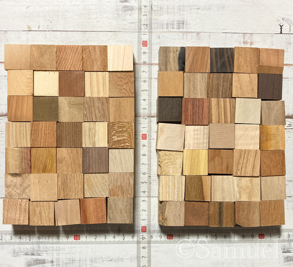 ▦70種＋10種『世界の木樹の標本／cube（に）：世界中の木材になる木たち』世界の樹の標本TreeSpecimen ▦□──── Wood Black Red White