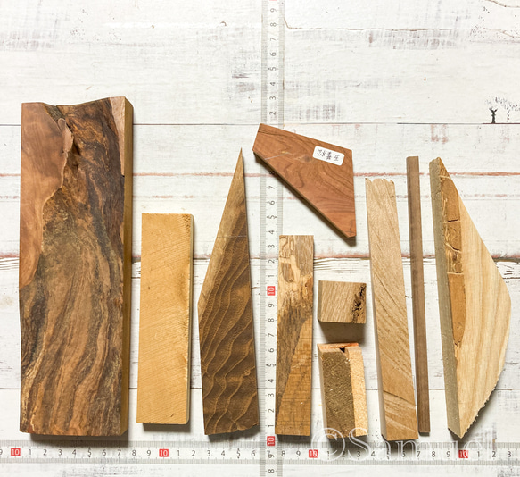 ▦70種＋10種『世界の木樹の標本／cube（に）：世界中の木材になる木たち』世界の樹の標本TreeSpecimen ▦□──── Wood Black Red White