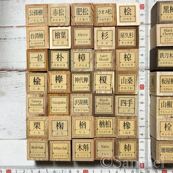 ▦70種＋10種『世界の木樹の標本／cube（に）：世界中の木材になる木たち』世界の樹の標本TreeSpecimen ▦□──── Wood Black Red White
