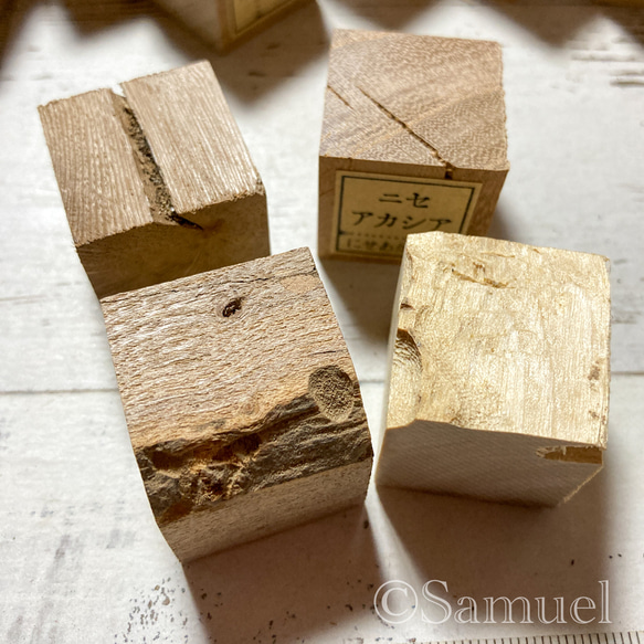 ▦70種＋10種『世界の木樹の標本／cube（に）：世界中の木材になる木たち』世界の樹の標本TreeSpecimen ▦□──── Wood Black Red White