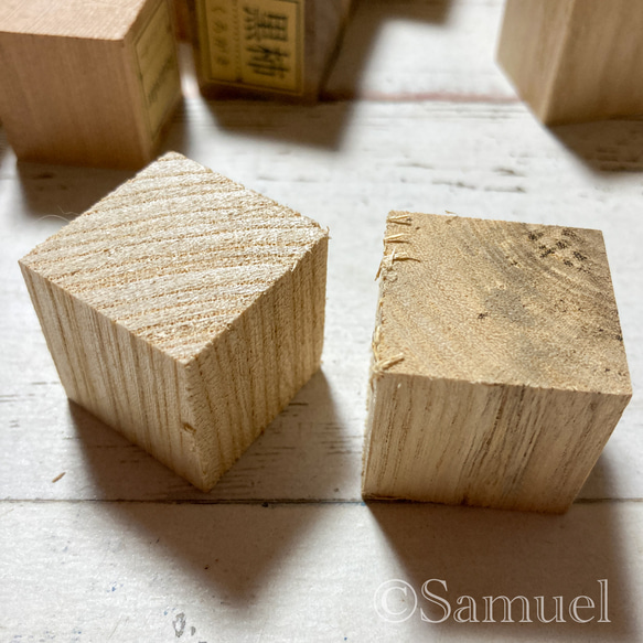 ▦70種＋10種『世界の木樹の標本／cube（に）：世界中の木材になる木たち』世界の樹の標本TreeSpecimen ▦□──── Wood Black Red White
