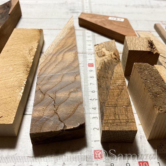 ▦70種＋10種『世界の木樹の標本／cube（に）：世界中の木材になる木たち』世界の樹の標本TreeSpecimen ▦□──── Wood Black Red White