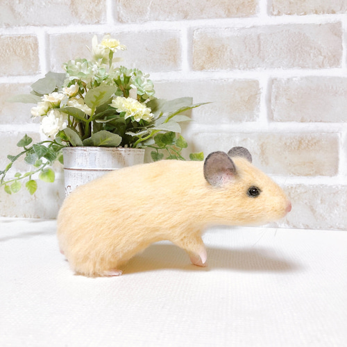 身を乗り出すキンクマさん *ゴールデン ハムスター* (羊毛フェルト