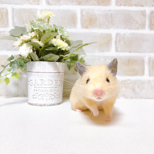 身を乗り出すキンクマさん *ゴールデン ハムスター* (羊毛フェルト
