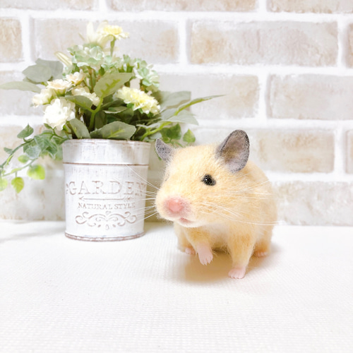 身を乗り出すキンクマさん *ゴールデン ハムスター* (羊毛フェルト