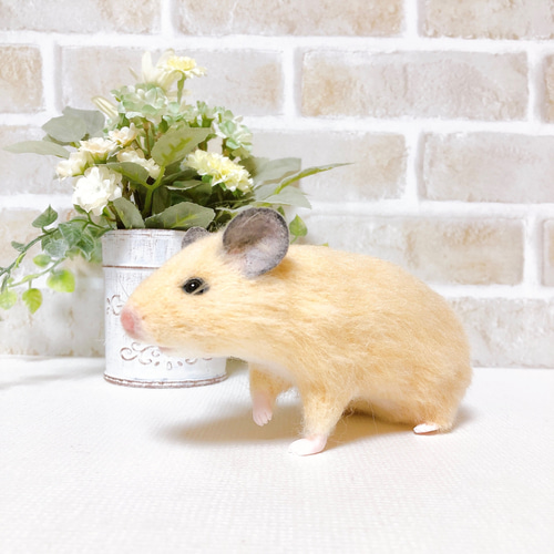 身を乗り出すキンクマさん *ゴールデン ハムスター* (羊毛フェルト