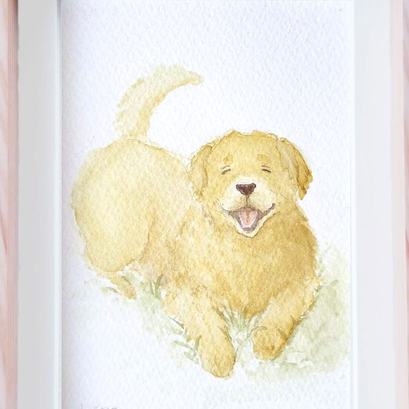 水彩画 原画 ゴールデンレトリーバー（ゴールデンレトリバー