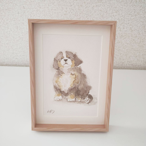 なに食べてるの？ぼくの分は？／バーニーズマウンテンドッグ（子犬