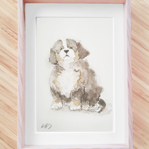 なに食べてるの？ぼくの分は？／バーニーズマウンテンドッグ（子犬