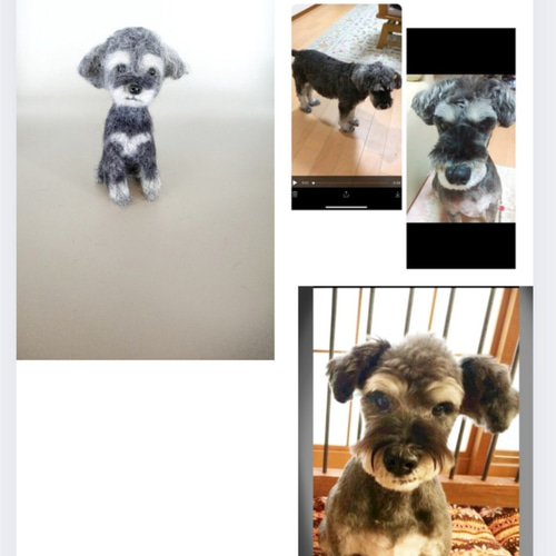 羊毛フェルト うちの子、愛犬オーダー 羊毛フェルト Rurumaru