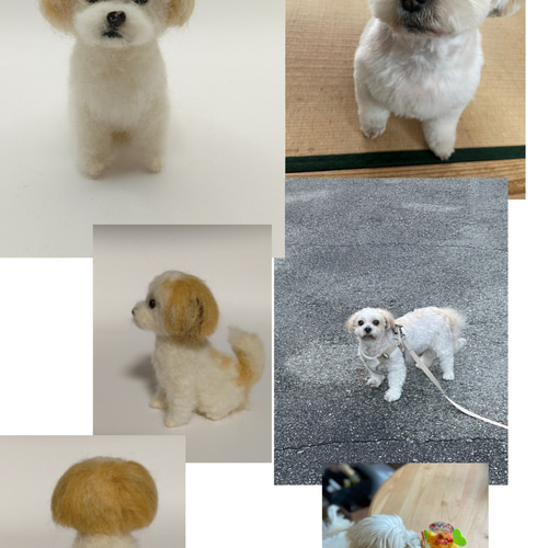 羊毛フェルト うちの子、愛犬オーダー 羊毛フェルト Rurumaru