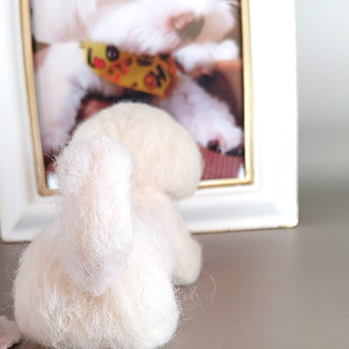 羊毛フェルト うちの子、愛犬オーダー 羊毛フェルト Rurumaru