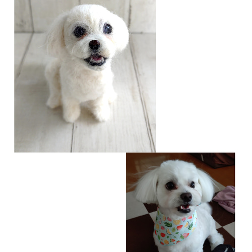 マコ　ハンドメイド 羊毛フェルトの犬 白　　手のひら大 羊毛フェルト］手の平サイズのうちの子、愛犬オーダー 羊毛フェルト