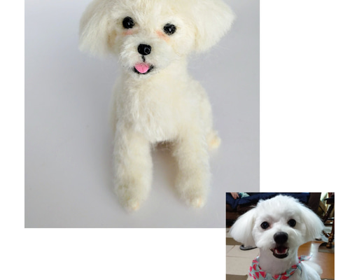 羊毛フェルト うちの子、愛犬オーダー 羊毛フェルト Rurumaru