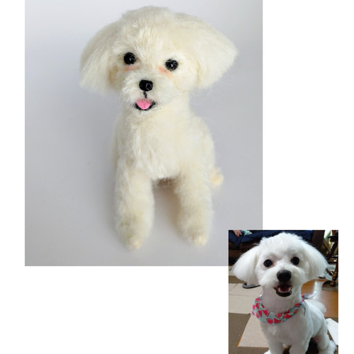 羊毛フェルト うちの子、愛犬オーダー 羊毛フェルト Rurumaru