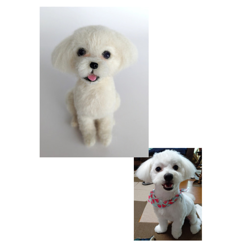 ＊羊毛フェルト＊うちの子オーダー うちの子オーダー 羊毛フェルト | iichi 日々の暮らしを心地よくする