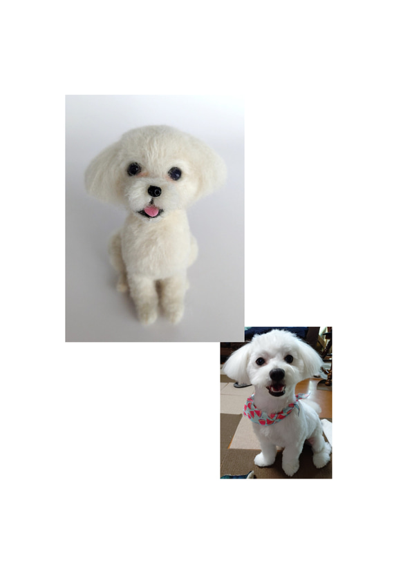 いなずま⚡︎✩.*˚様　フェルト人形ご依頼 羊毛フェルト うちの子、愛犬オーダー 羊毛フェルト Rurumaru 通販