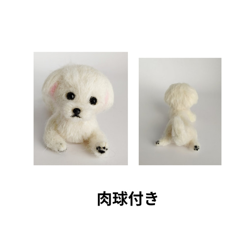 羊毛フェルト うちの子、愛犬オーダー 羊毛フェルト Rurumaru