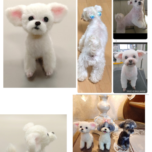 羊毛フェルト犬　ちろ 受注制作 羊毛フェルト犬 チワワ 見本 羊毛フェルト doglover