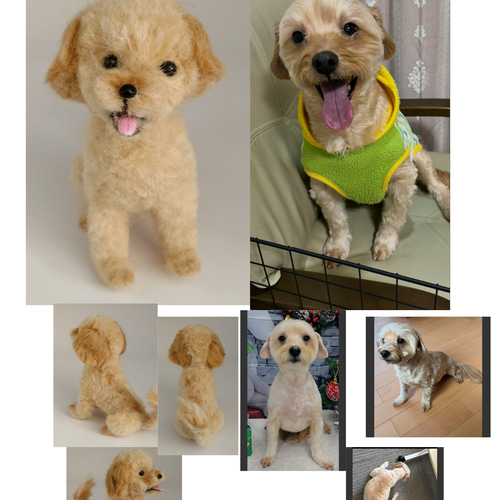 羊毛フェルト うちの子、愛犬オーダー 羊毛フェルト Rurumaru 通販